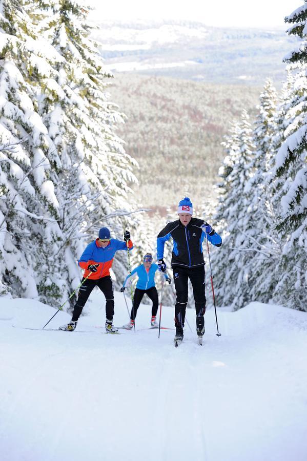 First Camp Moraparken Hotel Eksteriør billede
